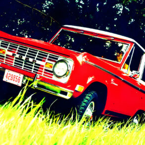 Bronco